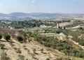 ما خطورة وجود بؤر استيطانية ذات طابع عسكري في غزة وماذا تعني هذه الخطوة