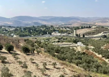 ما خطورة وجود بؤر استيطانية ذات طابع عسكري في غزة وماذا تعني هذه الخطوة  