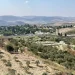 ما خطورة وجود بؤر استيطانية ذات طابع عسكري في غزة وماذا تعني هذه الخطوة  
