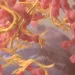   علماء يكشفون عن الطريقة الصحيحة لغسل الخضار لتجنب الطفيليات المعوية