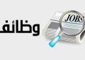 بوابة الوظائف الحكومية 2026.. خطوات التقديم والاستعلام عن نتائج المسابقات