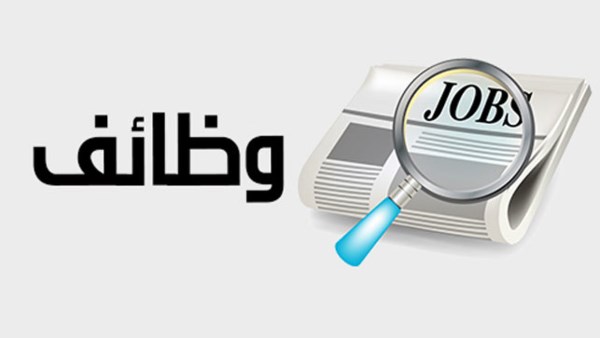 بوابة الوظائف الحكومية 2026.. خطوات التقديم والاستعلام عن نتائج المسابقات