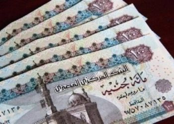 قانون الطفل يحدد الفئات المستحقة للمعاش الشهري للأطفال الأكثر احتياجًا