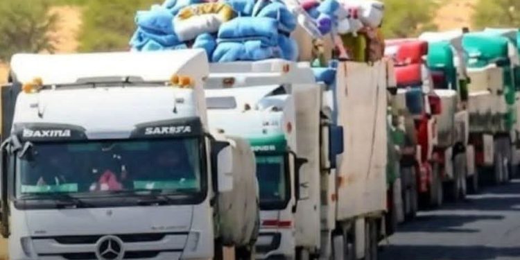 مصر تتخذ إجراءات لحماية سائقيها وتوقف عبور الشاحنات إلى السودان