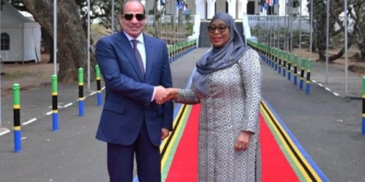 رئيسة تنزانيا: مشروع سد جوليوس نيريرى يُجسد نموذجا إيجابيا للتعاون مع مصر