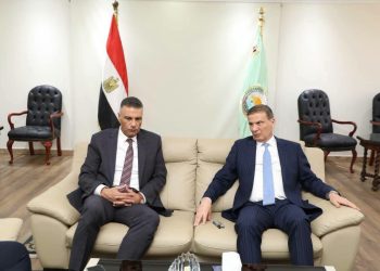 وزير الزراعة يبحث مع محافظ جنوب سيناء التوسع في زراعات النخيل والزيتون وتطوير المزارع الإرشادية