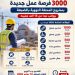 3000 فرصة عمل بمشروع الضبعة.. الرواتب تبدأ من 15 ألف جنيه