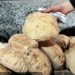 التموين :رغيف الخبز وأهميته  لجميع المواطنين