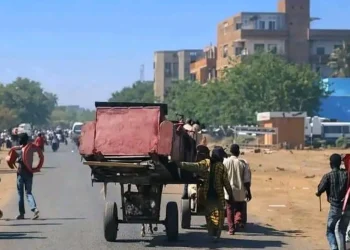 هل تنجح الجهود الدولية في وقف الانتهاكات ضد المدنيين في السودان