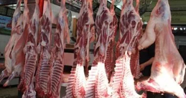 أسعار اللحوم اليوم الثلاثاء.. انخفاض ملحوظ في الضاني والبتلو والكندوز بالأسواق