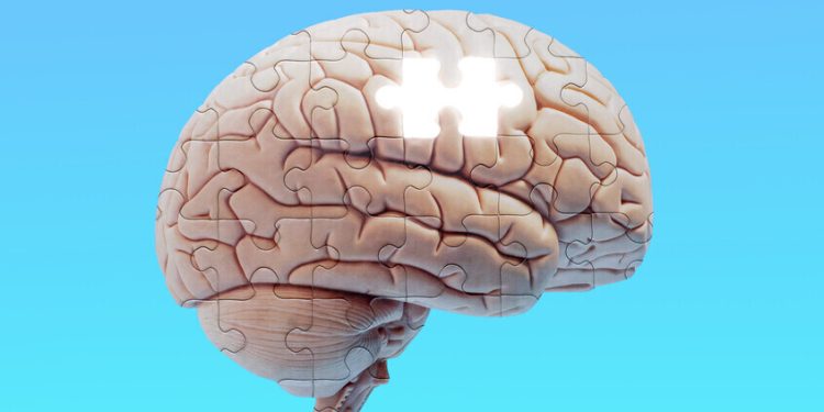  دراسة : الإستروجين وألزهايمر.. مؤشرات واعدة لحماية دماغ النساء