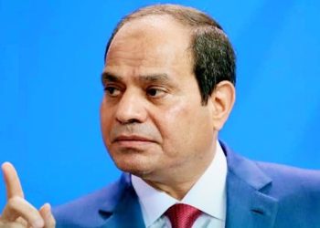 مصر تهيب بوسائل الإعلام الأجنبية تحرى الدقة فى تناول حـــادث استهـداف السفينتين فى دمياط