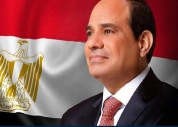 قرار جمهورى بتعيين محمد أحمد محمد رئيسا للمنطقة الاقتصادية للمثلث الذهبى