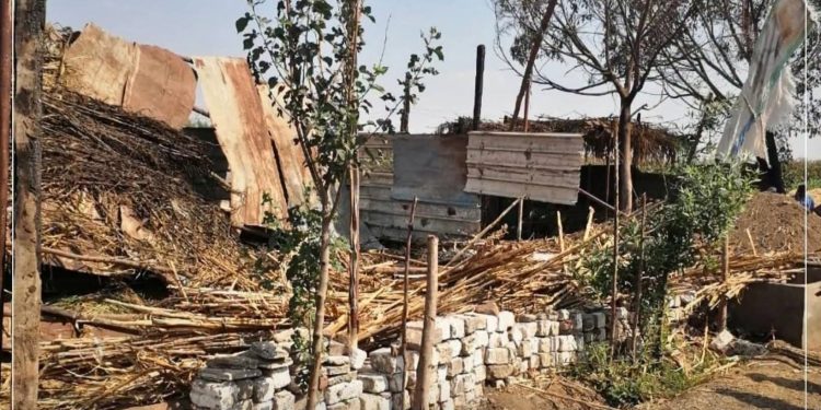 إزالات فورية لعدد من حالات التعدي علي الأراضي الزراعية والبناء المخالف بنطاق المحافظة ومتابعات لحظية
