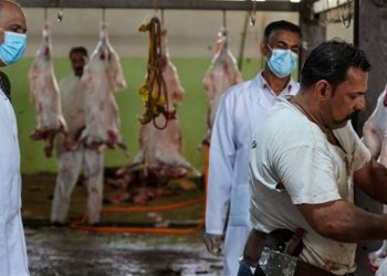 العراق يسجل 313 إصابة و24 وفاة بالحمى النزفية منذ بداية 2026