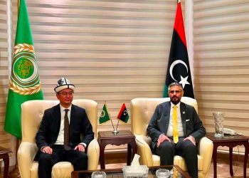 مباحثات ليبية قيرغيزية بالقاهرة
