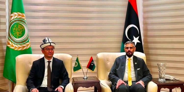 مباحثات ليبية قيرغيزية بالقاهرة