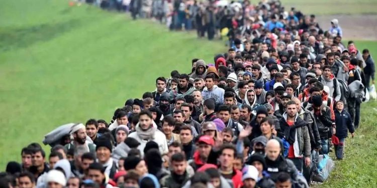 مأزق أوروبي: الهجرة أوكرانيا وفقدان السيطرة