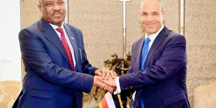 مصر تحذر من تقسيم السودان: مستقبل البلاد يقرره السودانيون وحدهم