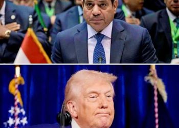 ترامب يضغط على مصر بورقة سد النهضة والرد المصرى واضح مصر لا تقبل الوصاية