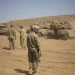 الجيش الإسرائيلي يعلن القبض على 14 شخصا من مواطنيه حاولوا التسلل إلى داخل الأراضي السورية