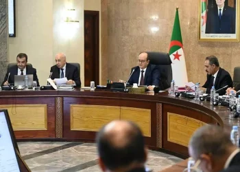 “عصابات الأحياء” تحت المجهر.. الجزائر تنتقل من الردع إلى الوقاية والاستباق