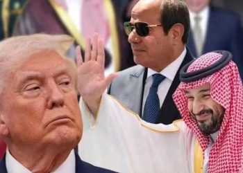 مصر والسعودية من دعم أمن المملكة إلى تنسيق ميدانى لحماية البحر الأحمر