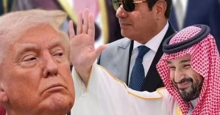 مصر والسعودية من دعم أمن المملكة إلى تنسيق ميدانى لحماية البحر الأحمر