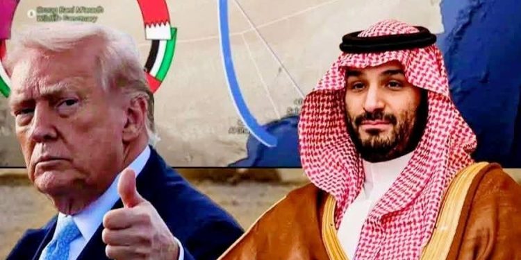 قناة سعودية جديدة لنقل النفط إلى البحر الاحمر
