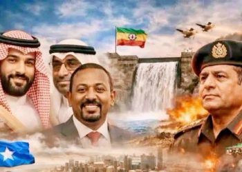 من النيل إلى البحر الأحمر وقناة السويس صراع المصالح يرسم خرائط النفوذ في المنطقة