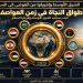 أطواق النجاة في زمن العواصف: كيف يستعيد الشرق الأوسط وإفريقيا السلام وتجاوز النزاعات؟