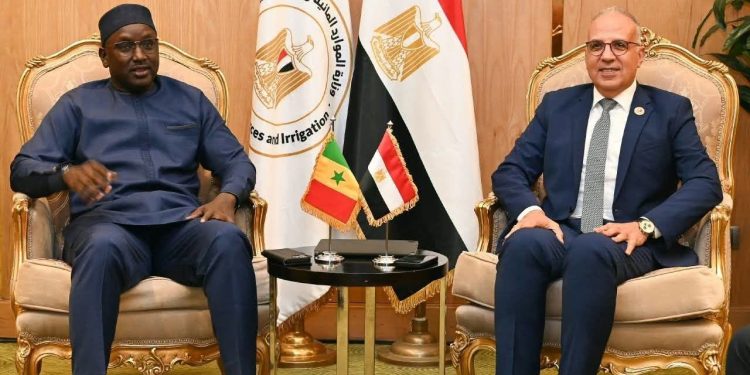 سويلم يلتقى وزير المياه والصرف الصحى السنغالى لبحث تعزيز التنسيق فى قضايا المياه الأفريقية
