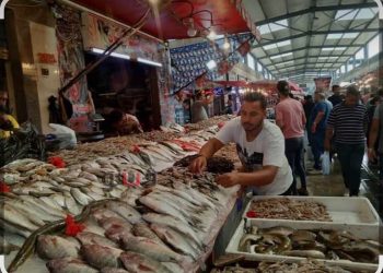 قاطعوا الأسماك يا أهل السويس..    شهر واحد قد يغيّر معادلة الأسعار!