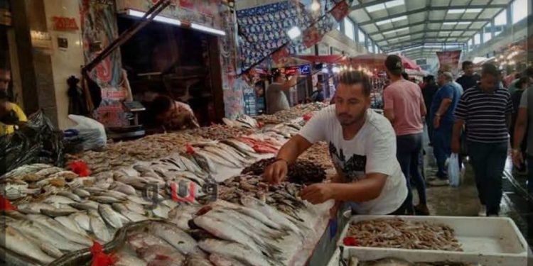 قاطعوا الأسماك يا أهل السويس.. شهر واحد قد يغيّر معادلة الأسعار!