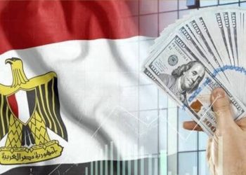 فيتش: مصر ستستمر فى تطبيق سياسات صندوق النقد الدولى حتى بعد انتهاء البرنامج الحالى