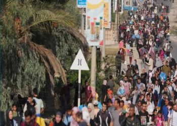 مصر : نقف ضد مخطط التهــجير فى غــ.زة بالتنسيق مع الدول العربية