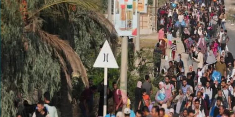 مصر : نقف ضد مخطط التهــجير فى غــ.زة بالتنسيق مع الدول العربية