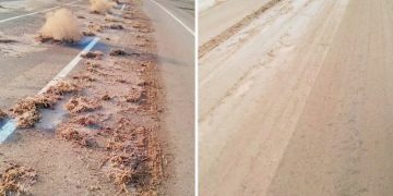 محافظ البحر الأحمر يرفع درجة الاستعداد القصوى لمواجهة تداعيات الطقس..